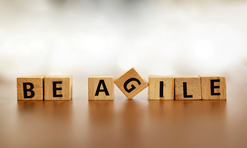 Embrace Agile