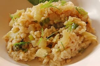 Cremiges Risotto mit leuchtendem Fenchelgrün, Zitronenzesten und Kapern auf weißem Teller