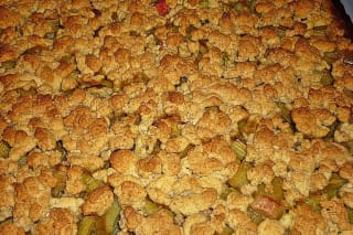 Goldbrauner Rhabarber-Crumble in einer Springform, knusprige Streusel oben, leuchtend rosa Rhabarberstücke darunter