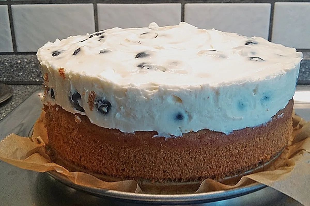 Goldbrauner veganer Tortenboden aus einer Springform, mit leicht rauer Oberfläche
