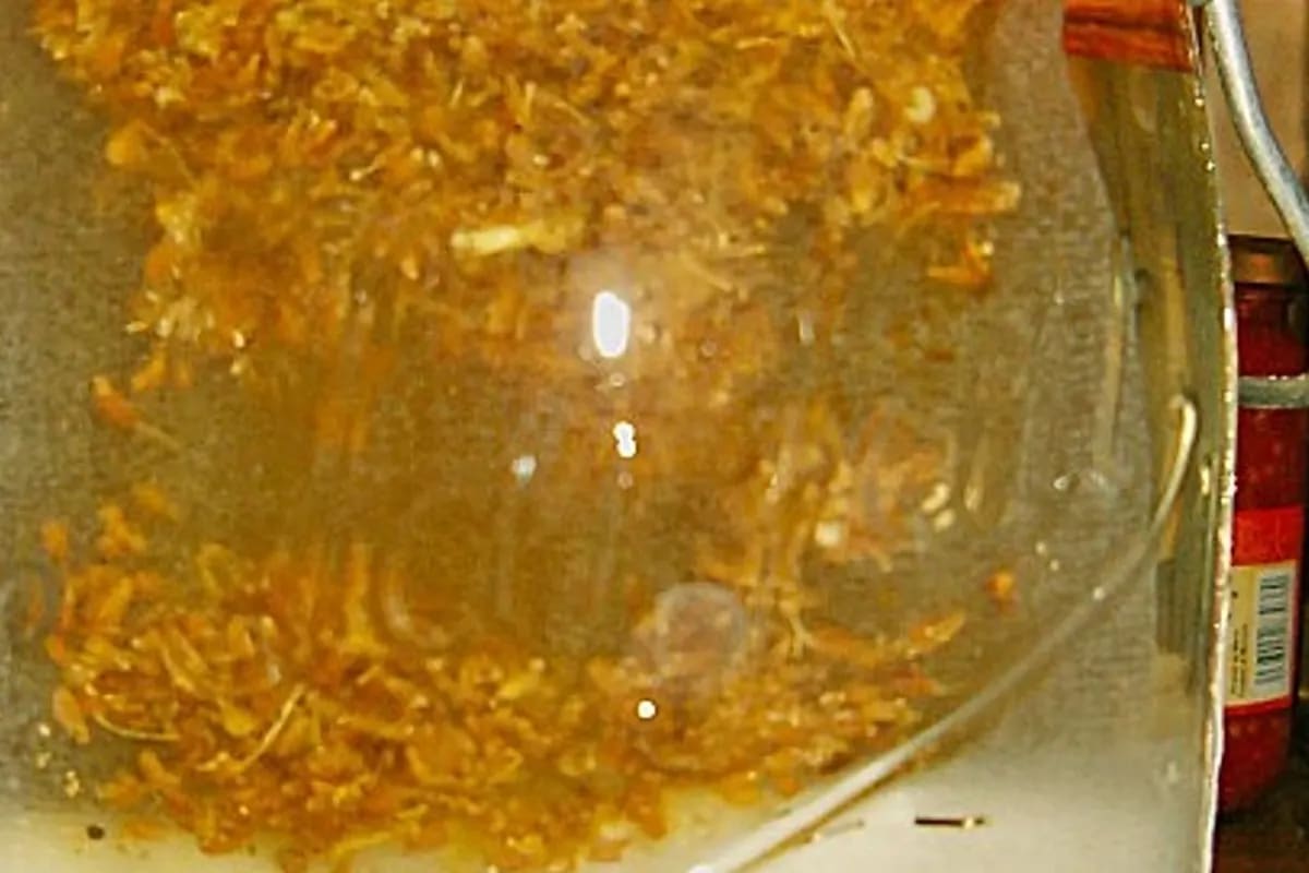 Glas mit rotem Patxarán-Likör, umgeben von Schlehen, Zimtstange und Vanilleschote auf rustikalem Holztisch