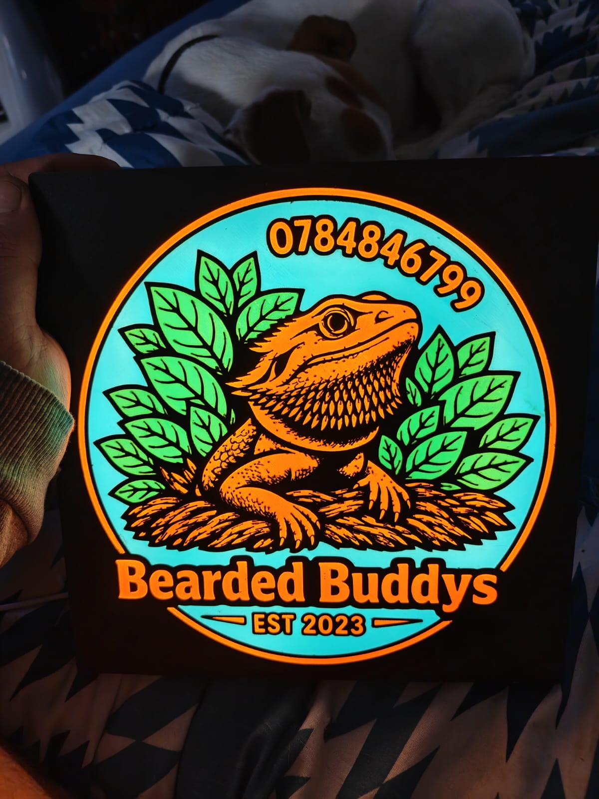 Bearded Buddys Light Box