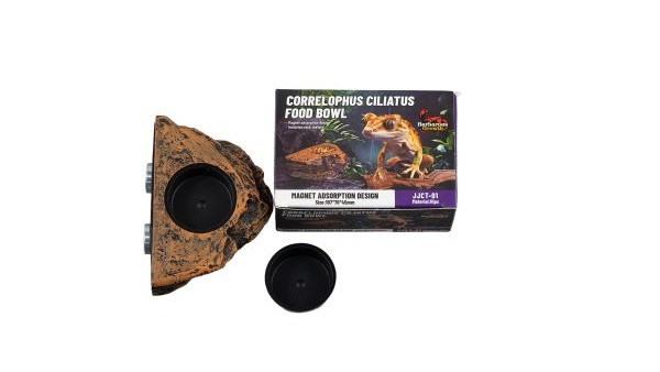 Single Gecko Feed Rock Magnetic Ledge