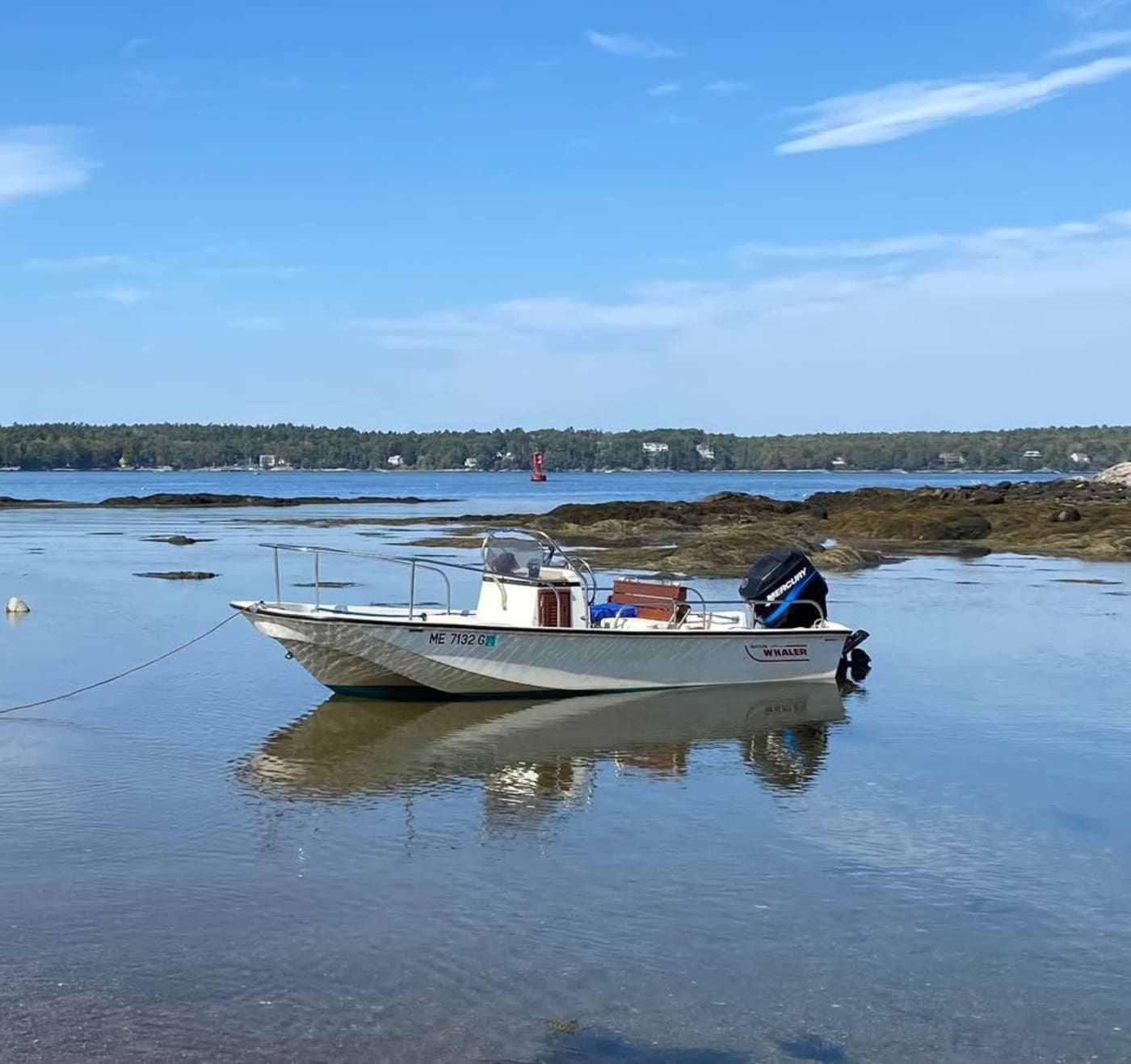 1985 Boston Whaler Montauk for sale in Maine