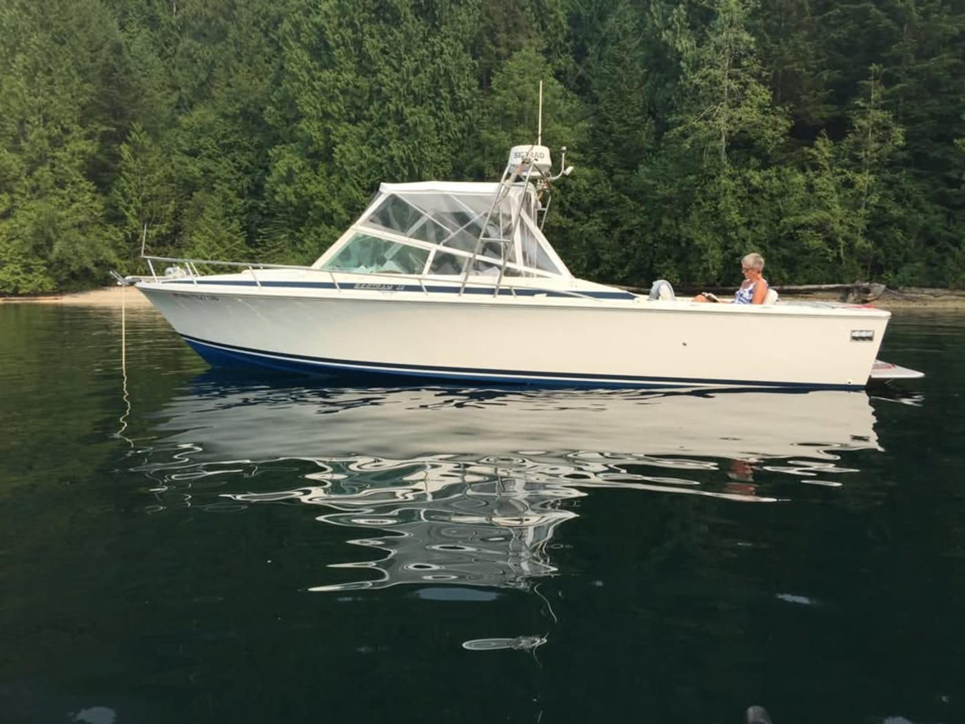 1984 Bertram Moppie for sale in Washington