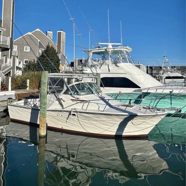 1980 Topaz Express for sale in Maryland