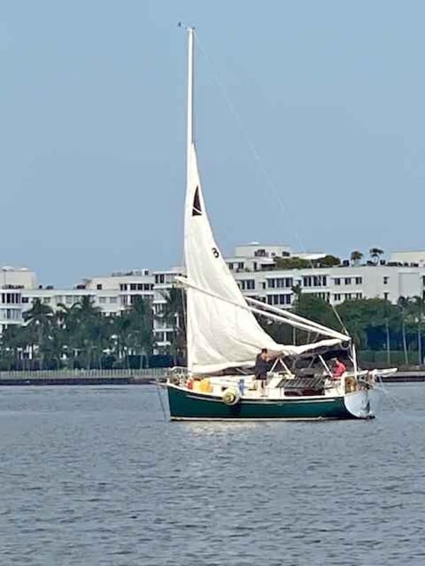 1985 Hinterhoeller Nonsuch for sale in Florida
