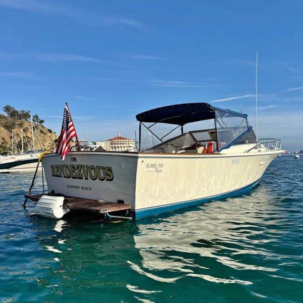 1985 Blackfin Combi for sale in California