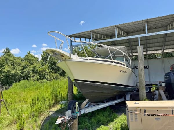1994 Bertram Moppie Express for sale in Florida