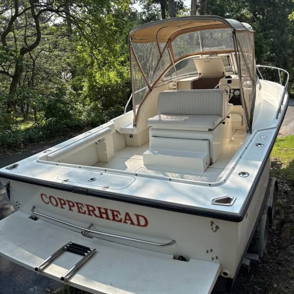 2000 Shamrock Walk Around for sale in Maryland