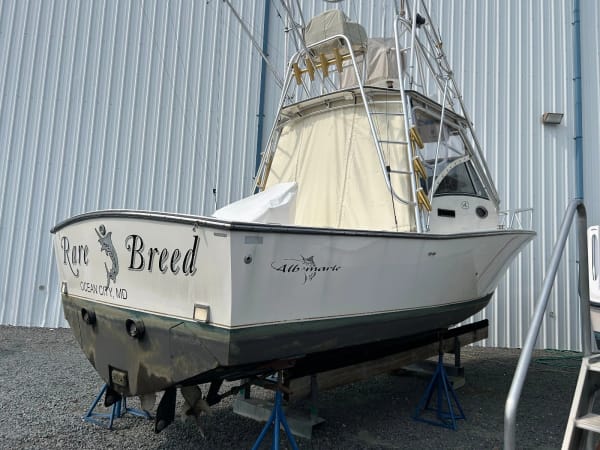 2001 Albemarle Express for sale in Maryland