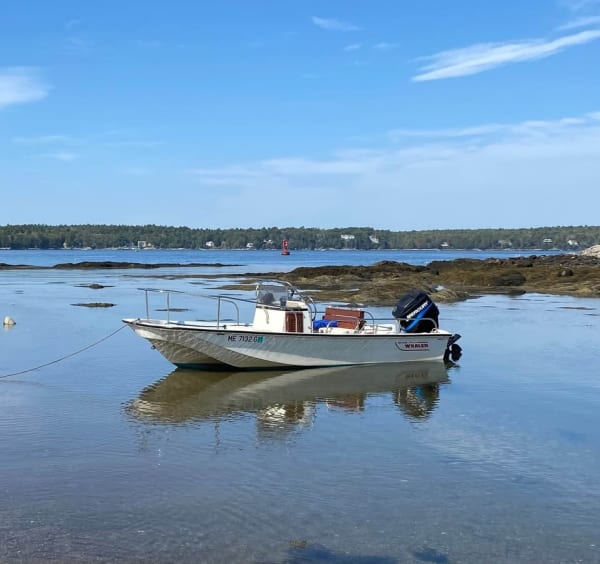 1985 Boston Whaler Montauk for sale in Maine