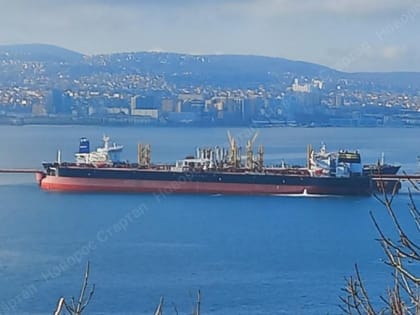 Чтобы нефть из Новороссийска дошла до Европы, нужен «серый» флот