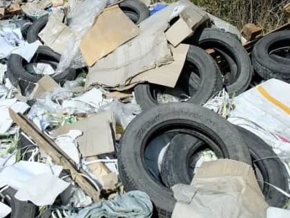 В Краснодаре у четырёх мусорщиков-нелегалов изъяли грузовики