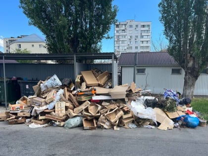 Предприниматели Новороссийска устраивают свалки на контейнерных площадках. Куда нести картон?