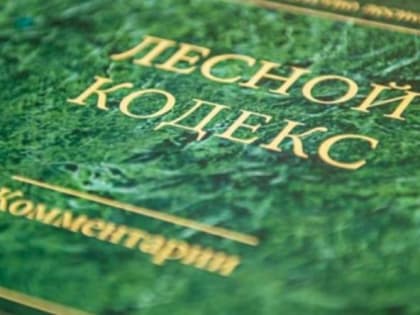 Природоохранная прокуратура разъясняет законодательство об охране лесов от пожаров