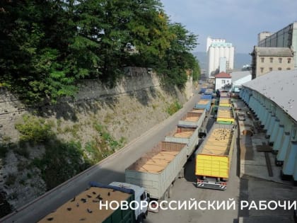 У новороссийского хлебокомбината – новый гендиректор