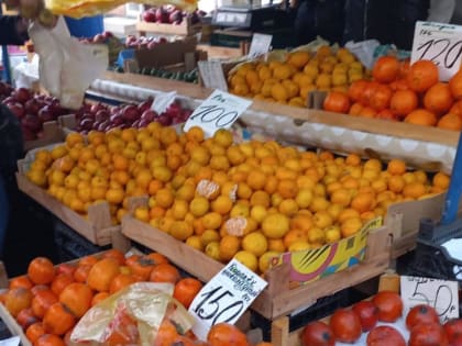 Через Новороссийск на новогодних каникулах ввезли 59 тысяч тонн фруктов