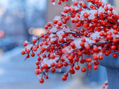 Погода на Кубани: ненастье возвращается