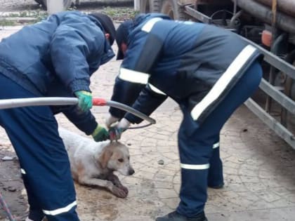 Спасатели Краснодара продолжают свою работу по обеспечению безопасности горожан