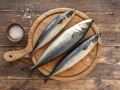 Сохраняем здоровье мозга: названа лучшая рыба для умных людей