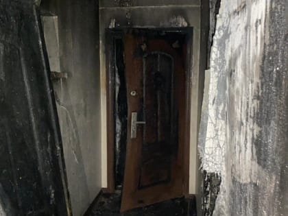 Цена неосторожности: с начала года в Новороссийске произошло 16 пожаров