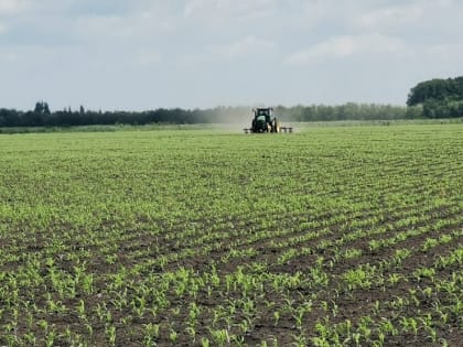Кубанское сельскохозяйственное предприятие будет внедрять бережливое производство