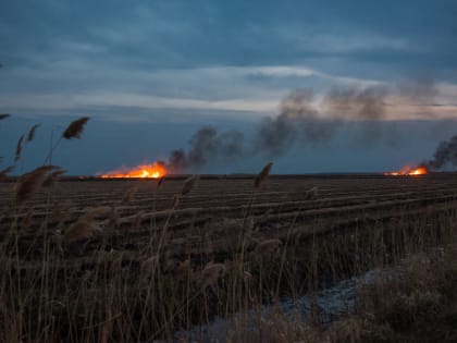 В Краснодарском крае в воскресенье ожидается сильная жара 39 °С