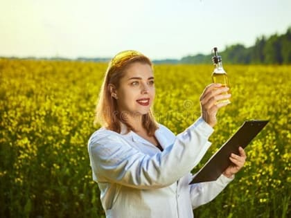 Масло идёт на экспорт