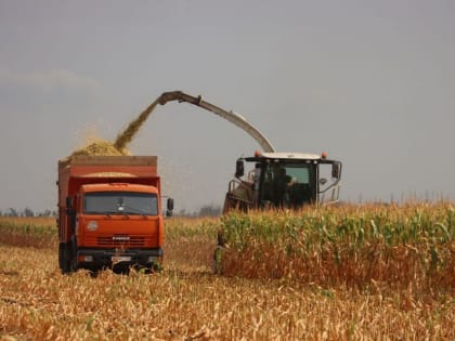 Усть-Лабинский район: достижения аграриев в сельском хозяйстве