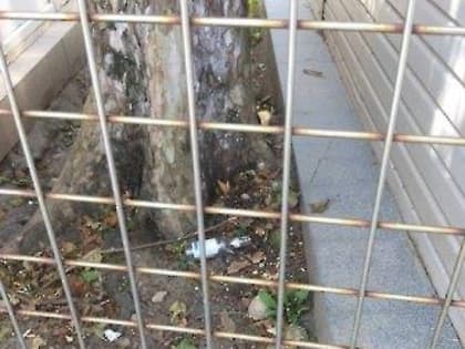 От слов к делу: Александр Абрамов потребовал усилить меры в отношении неряшливых предпринимателей