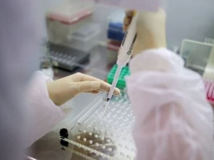 На Кубани коронавирус за неделю выявили у 133 жителей