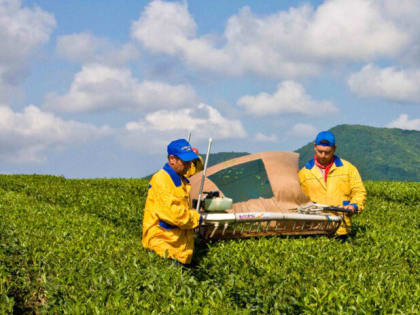 Поздравление с Днем работников сельского хозяйства в Сочи