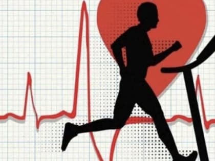 Профилактика сердечно-сосудистых заболеваний: комплексный подход к здоровому образу жизни