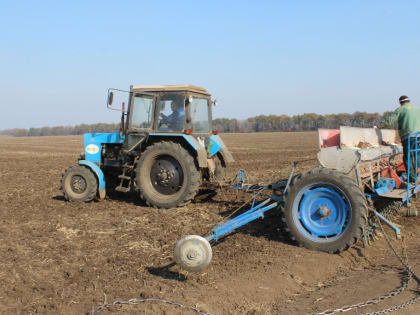 В «Прогресс Агро» засеяли многолетние травы и горох