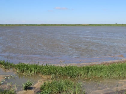 На Кубани в 2023 году планируют занять рисом 92 тысячи гектаров оросительных систем