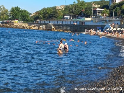 Аномальная жара в Новороссийске этим летом