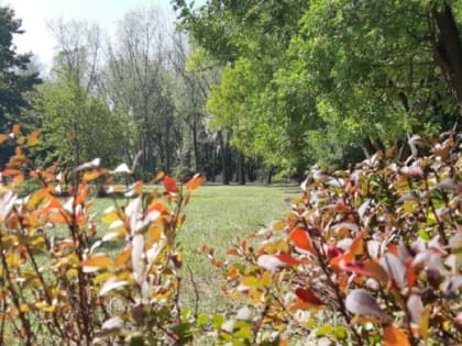 Погода на новую рабочую неделю вновь не порадует кубанцев