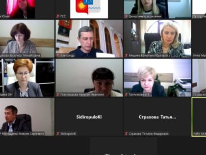 В Городском Собрании Сочи прошел комитет по финансово-бюджетной, налоговой и экономической политике и стратегическому развитию