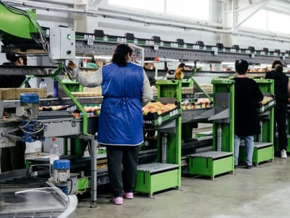 Агропредприятие Абинска увеличило выработку на 200% благодаря бережливым технологиям