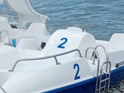 Полицейские Новороссийска выявили факт незаконной предпринимательской деятельности