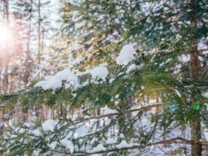 Дожди и мокрый снег "как в ноябре" уже в выходные накроют регионы России