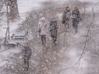 Синоптики рассказали о погоде в Краснодарском крае 23 февраля