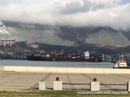 В Новороссийске суд решит судьбу контейнерных площадок