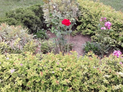 Платежи выросли не на 9%, а на все 50%! - люди возмущены ростом тарифов за услуги ЖКХ