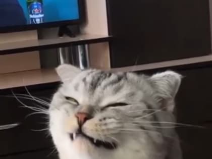 Доброе утро, Славянский район!