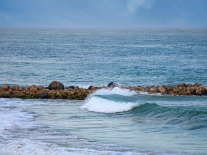 Ученый объяснил, почему после землетрясения в Турции в Черном море не произошло цунами