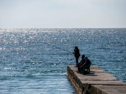 До +20 градусов: резкое потепление ожидается в Краснодарском крае