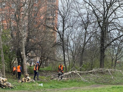 В краевой столице продолжается благоустройство Изумрудного сквера