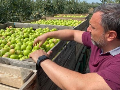 Дмитрий Лоцманов оценил развитие сельских территорий и поддержку сельхозпроизводителей